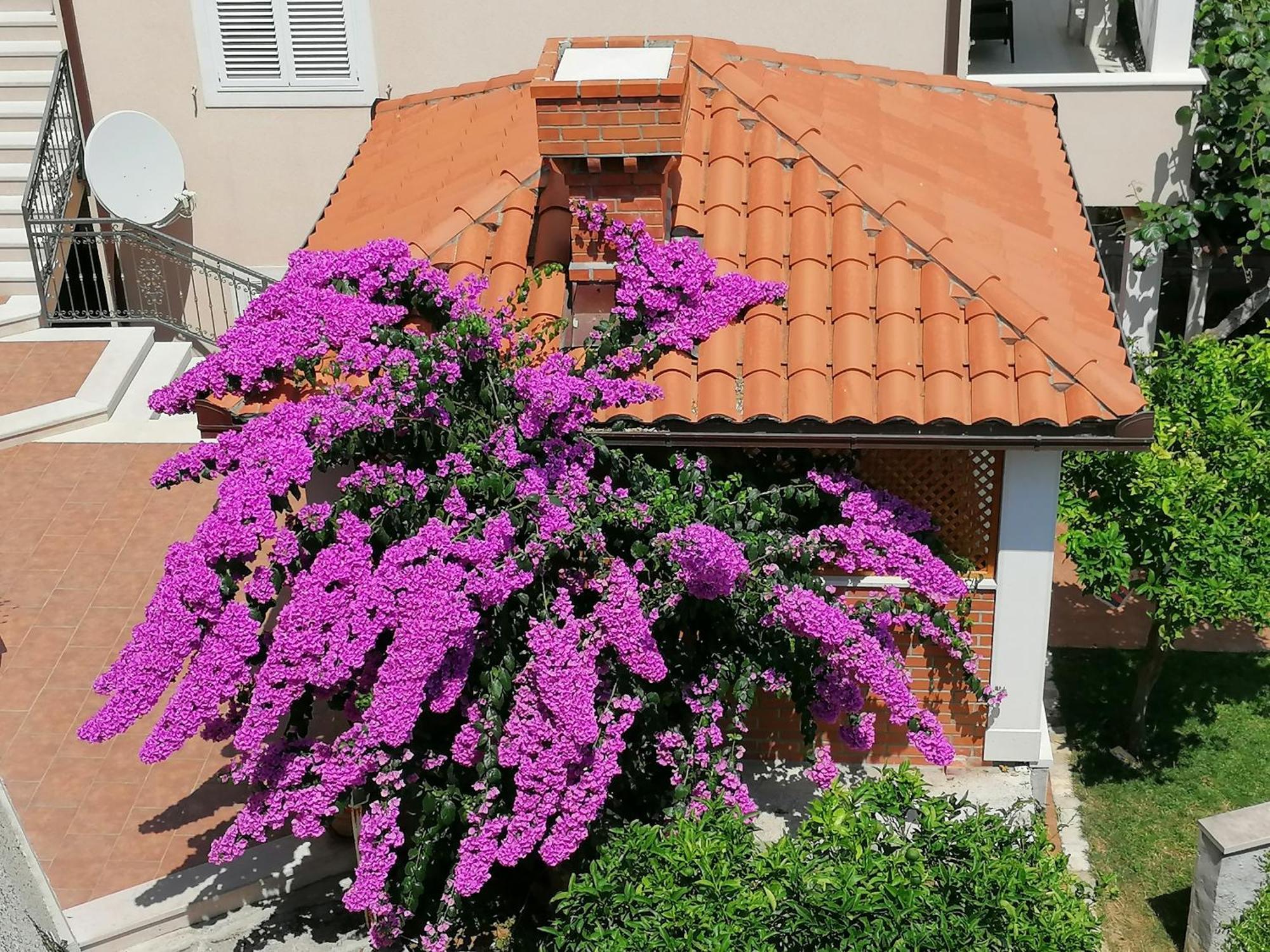 Green Park Apartments 2 Dubrovnik Exterior foto